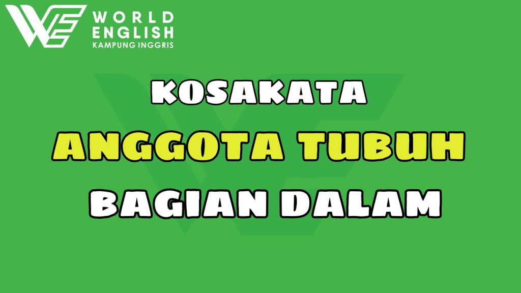 belajar bahasa inggris anggota tubuh