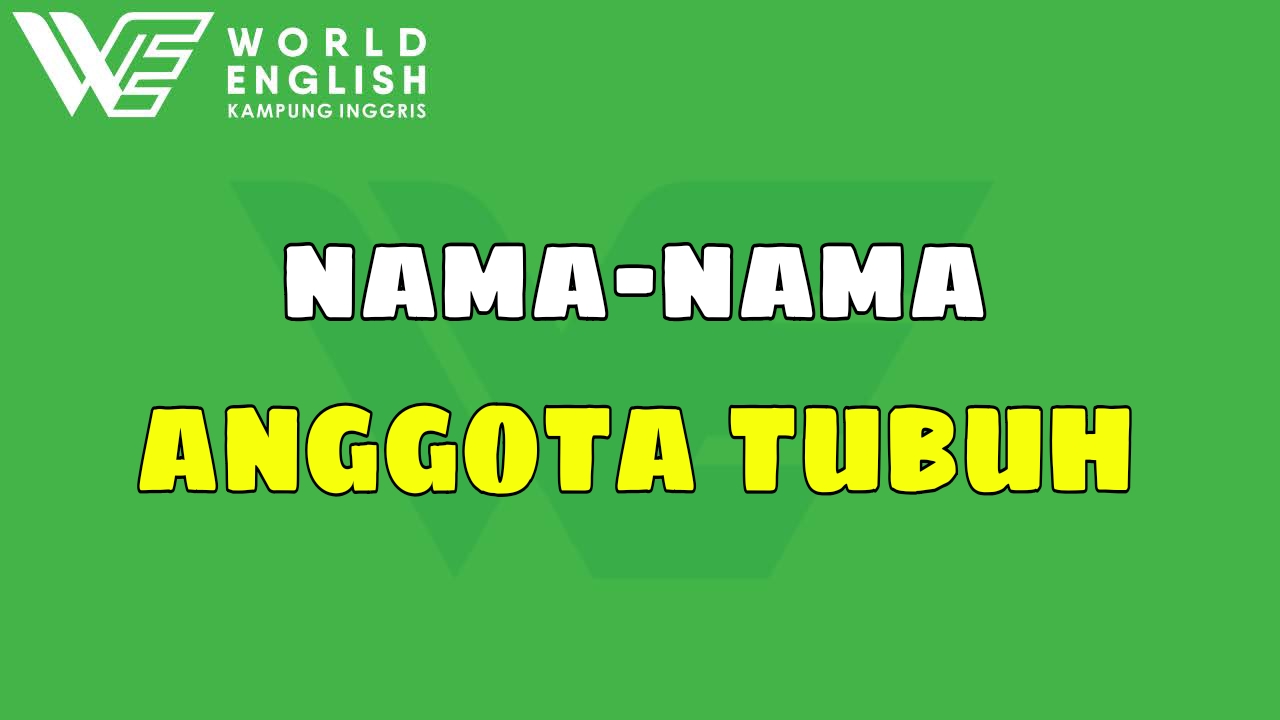 belajar bahasa inggris nama anggota tubuh