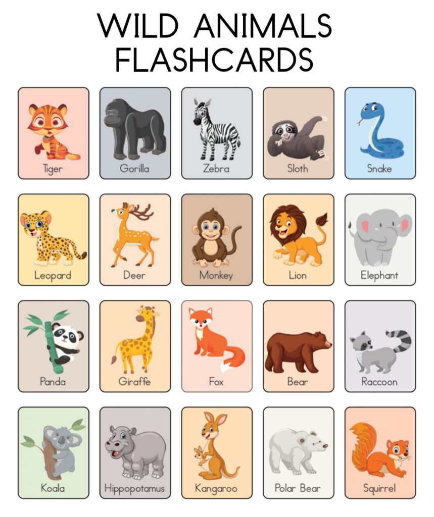 media belajar bahasa inggris flashcard