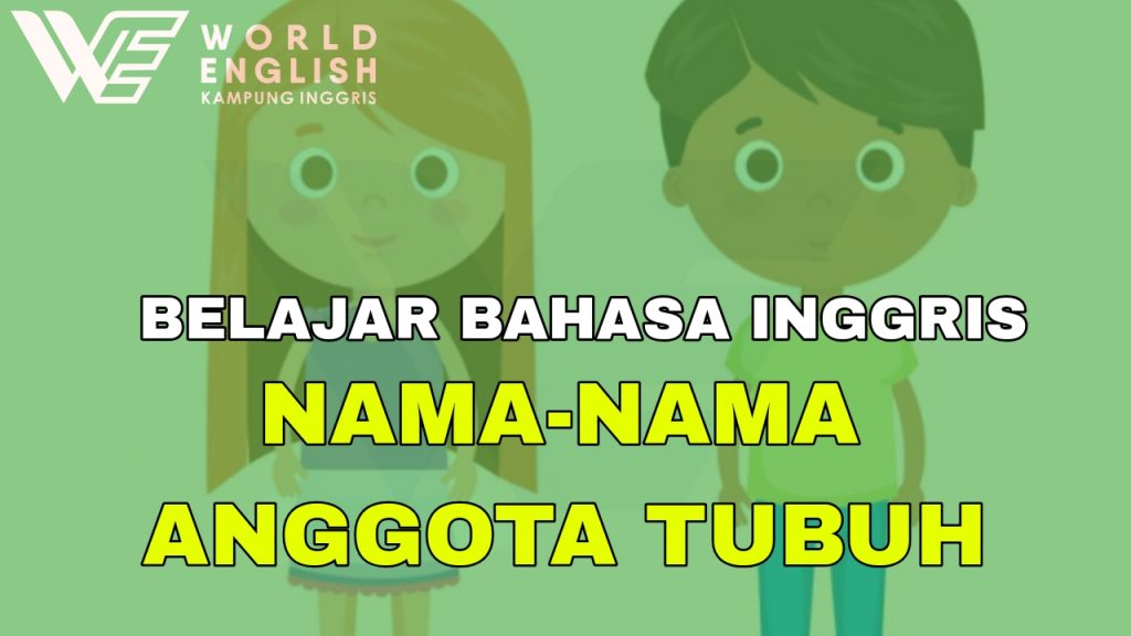 belajar bahasa inggris anggota tubuh